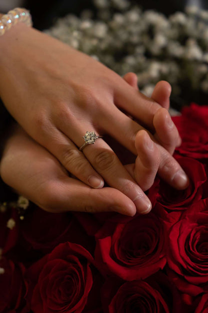 2023/03/22 Mi vuoi sposare?