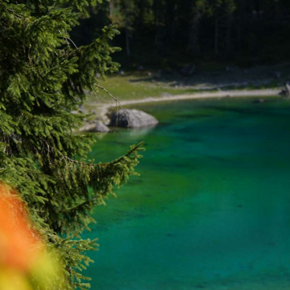 2025 Wedding in Carezza